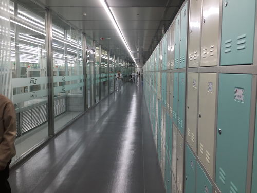 辦公場景下各類智能存儲柜選擇指南 指紋柜、一卡通柜、人臉識別柜、寄存柜與存儲柜對比