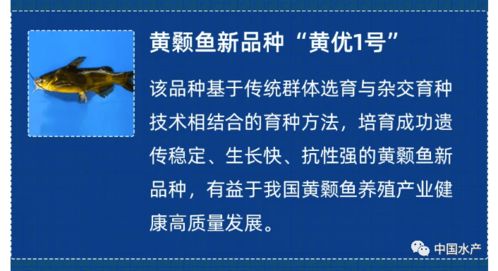 五項涉漁新材料技術入選2021中國農(nóng)業(yè)農(nóng)村重大新技術新產(chǎn)品新裝備